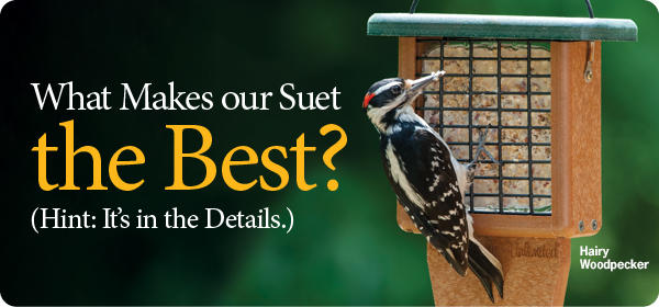 Wild Birds Unlimited Suet