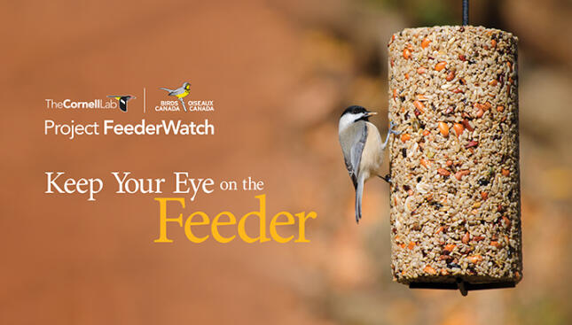 Project FeederWatch
