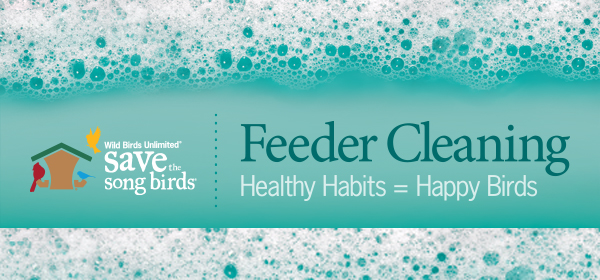 Feeder Cleaning - Healthy Habits = Happy Birds